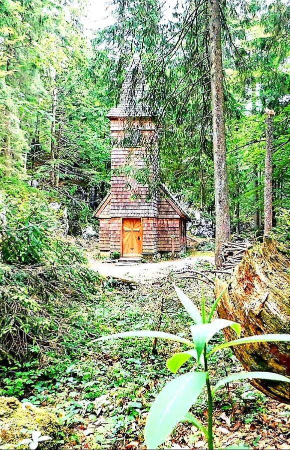 Tauglerei Appartement Bernstein In Den Zauberbergen Sankt Koloman エクステリア 写真